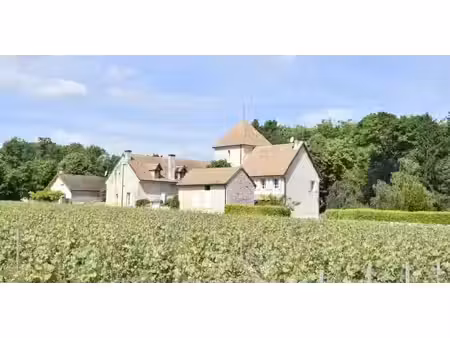 vente maison mercurey 71640 - - surface privée