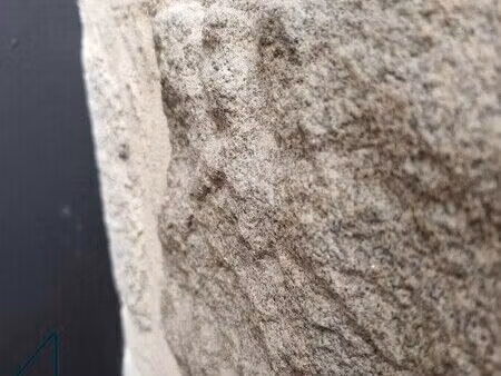 location commerce 78 m² à vannes (56000)