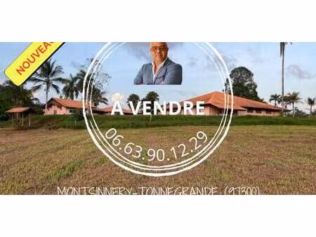 propriété avec jardin montsinery tonnegrande (973)