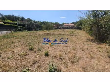 vente terrain 1615 m² codalet (66500)