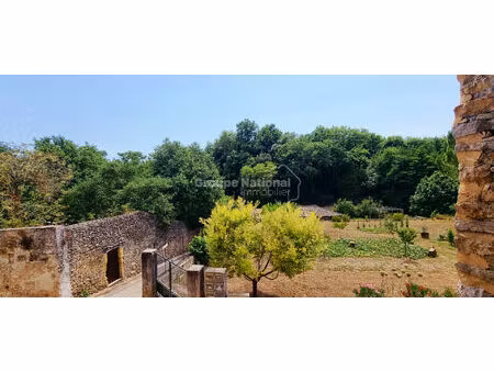 maison de village  doubles garages  jardinet