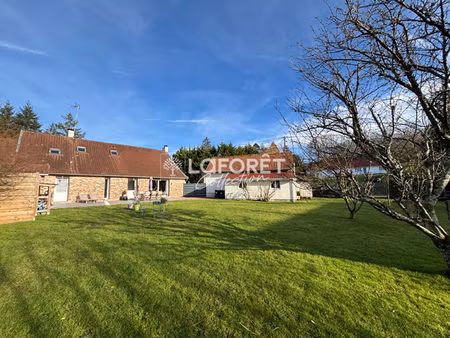 maison saint josse 7 pièce(s) 230 m2