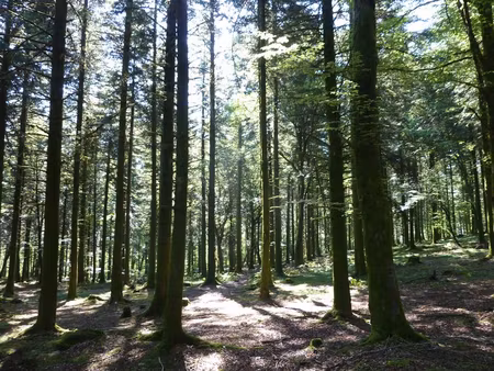 achat terrain 24 650m²