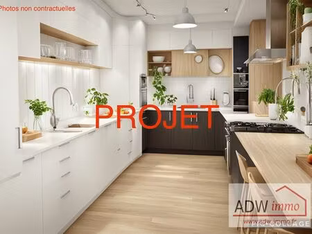 appartement à rénover moisenay