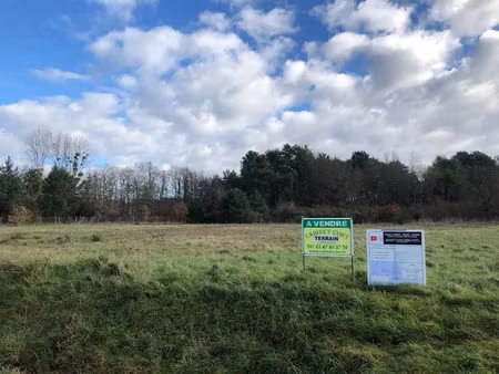 vente terrain à batir 1130 m² à gizeux (37340)  27 500 €