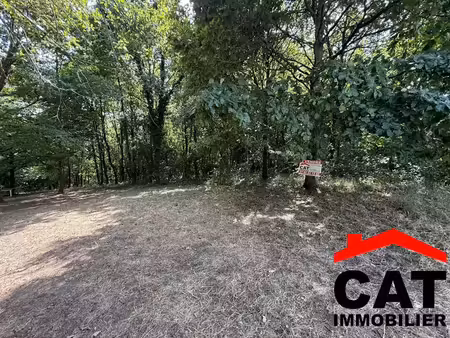 vente terrain 3785 m² à vernou-la-celle-sur-seine (77670)  15 000 €