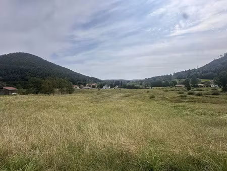 vente terrain 3603 m² à taintrux (88100)  39 000 €