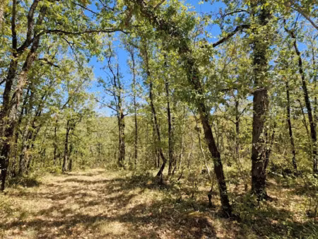 vente terrain à batir 15920 m² à chasteaux (19600)  82 000 €