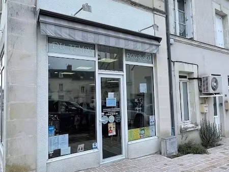 vente locaux professionnels 40 m² à chouzé-sur-loire (37140)  30 000 €