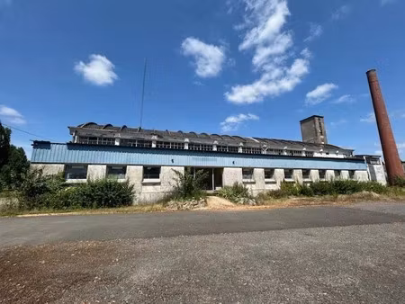 vente locaux professionnels 3000 m² à hommes (37340)  254 000 €