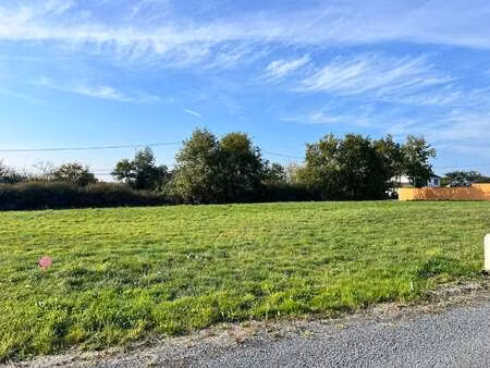 vente terrain à ligné (44850) : à vendre / 498m² ligné