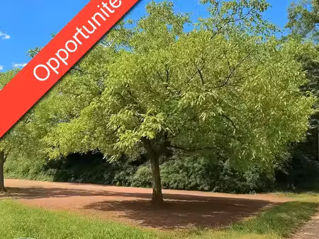 terrain à vendre - carsac-aillac (24) - 39 500€