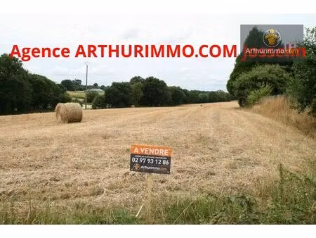 vente terrain 22800 m2 à guégon