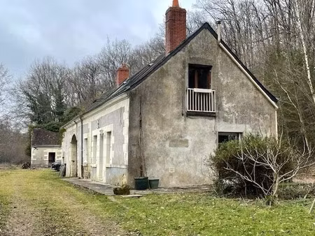 vente maison 4 pièces 141 m² à langeais (37130)  315 000 €