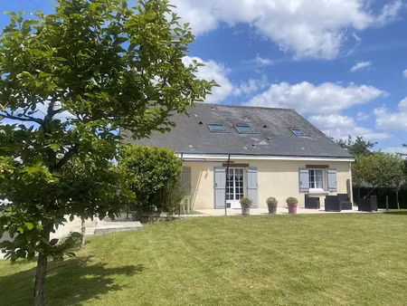 vente maison 7 pièces 190 m² à saint-michel-sur-loire (37130)  370 000 €
