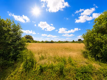 achat terrain 1 035m²
