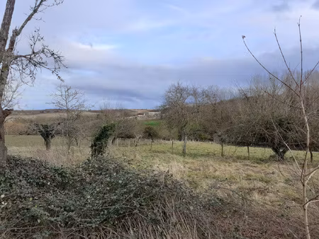 achat terrain 8 254m² merry la vallee 89110