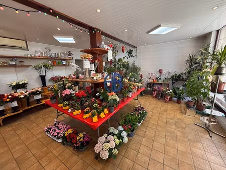 vente locaux professionnels 97 m² à saint-siméon-de-bressieux (38870)  60 000 €