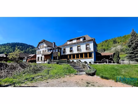 vente locaux professionnels 1000 m² à metzeral (68380)  428 000 €