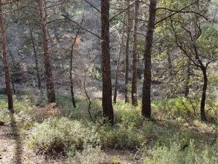 location terrain 10000 m2 peynier