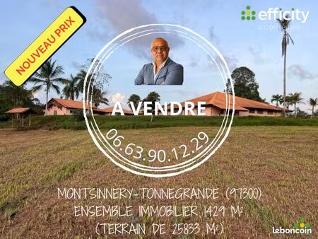 immeuble 1 429 m² montsinery tonnegrande