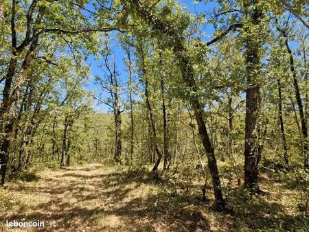 terrain 15 920 m² chasteaux