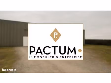 local 430 m² seiches-sur-le-loir