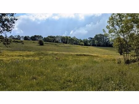 prairie pour animaux