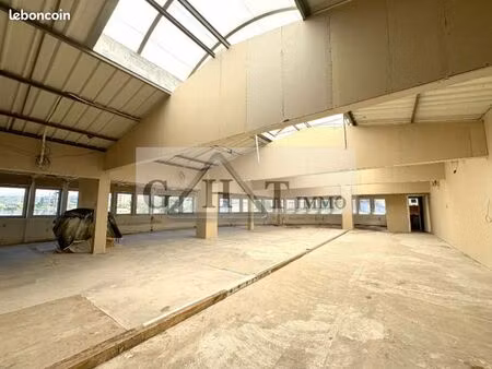 local industriel 450 m²