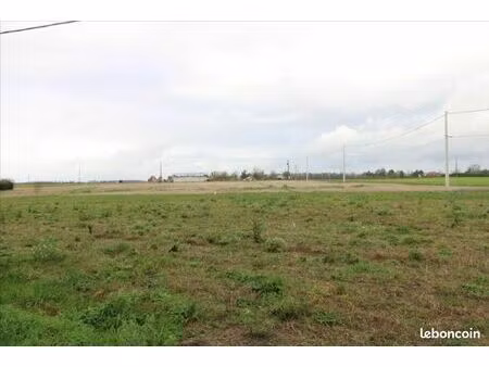 terrain 1200 m² dame marie