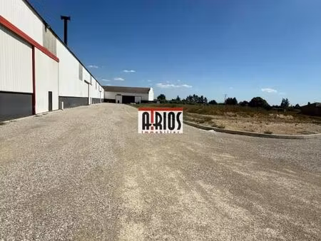 local industriel 595 m²