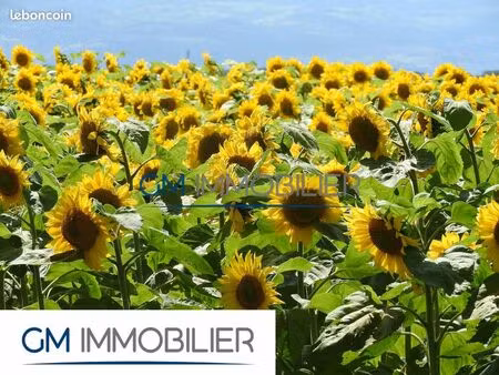 terrain 603 m² magescq