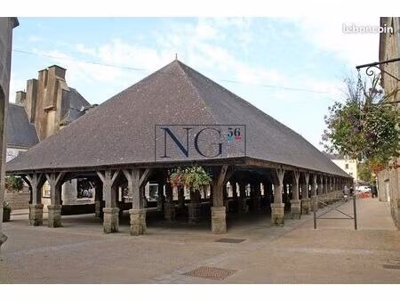 immeuble 9 pièces 290 m²