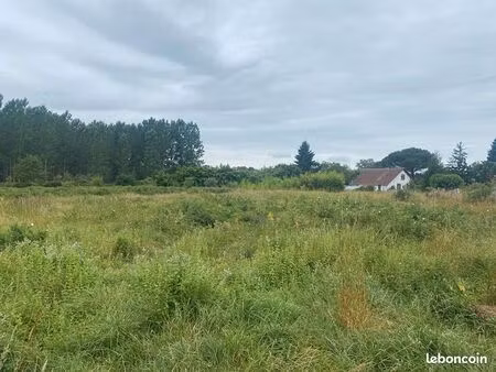 terrain 3379 m² labrit