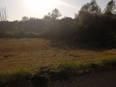 terrain constructible