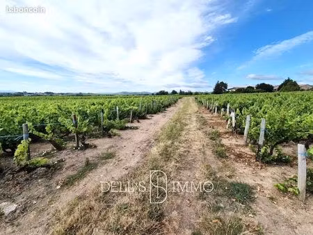 terrain 20081 m² fleurie