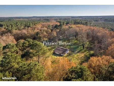 terrain agricole bouglon