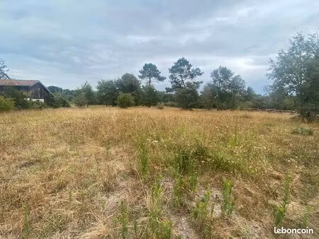 terrain 1504 m² labrit