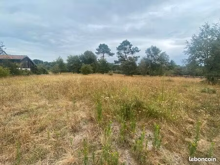 terrain 1606 m² labrit