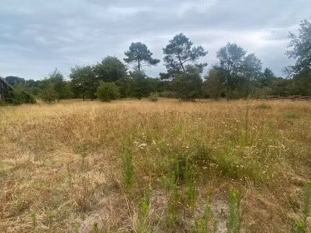 terrain 2340 m² labrit