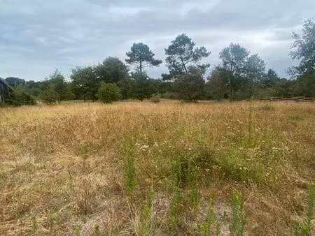 terrain 2382 m² labrit