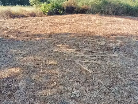 terrain de 14080m²