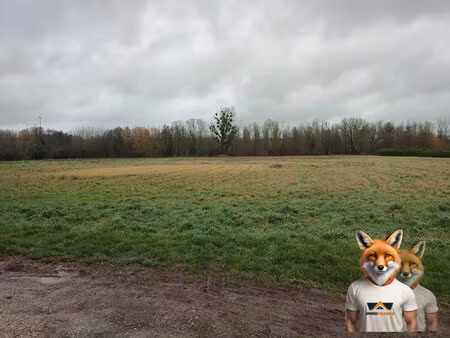 terrain soligny les etangs