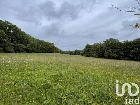 vente terrain 189090 m² à soudaine-lavinadière (19370)  157 000 €