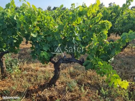 terrain 71940 m² pézenas