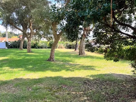 vente terrain à batir 600 m² à labenne (40530)  367 500 €