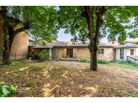 vente maison 7 pièces 271 m² jassans-riottier (01480)