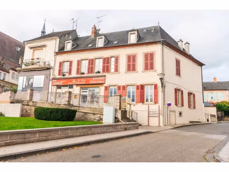 vente immeuble 13 pièces 410 m2 à saint-pourçain-sur-sioule