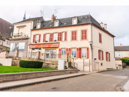 vente immeuble 410 m² saint-pourçain-sur-sioule (03500)
