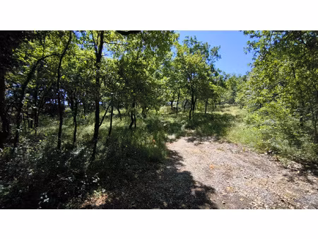 terrain plat et boisé. réseaux présents compteurs à poser.